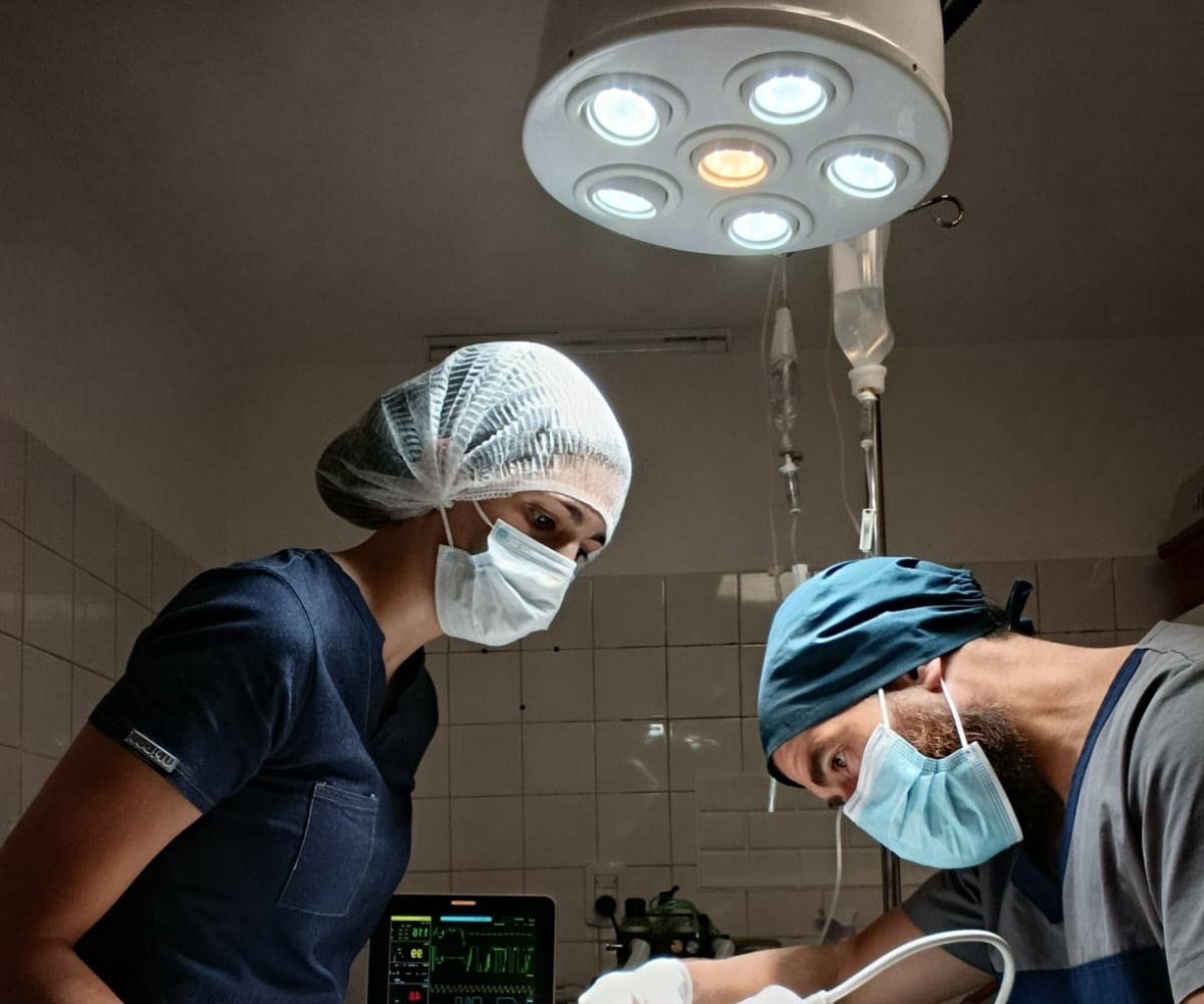 Los dos veterinarios de Clivad operando bajo la lámpara de quirófano, con el monitor de signos vitales a la vista