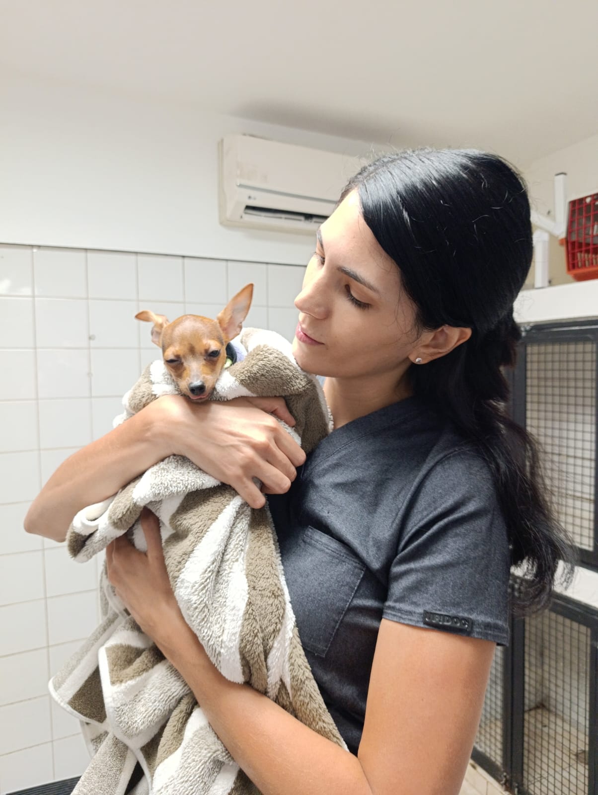 La Dra. Agustina Barchiessi sosteniendo en brazos a un perro pequeño envuelto en una toalla