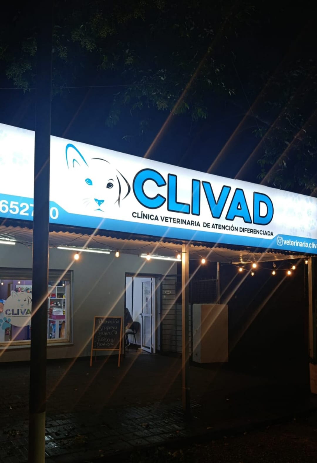 Frente de Clivad Veterinaria iluminado de noche